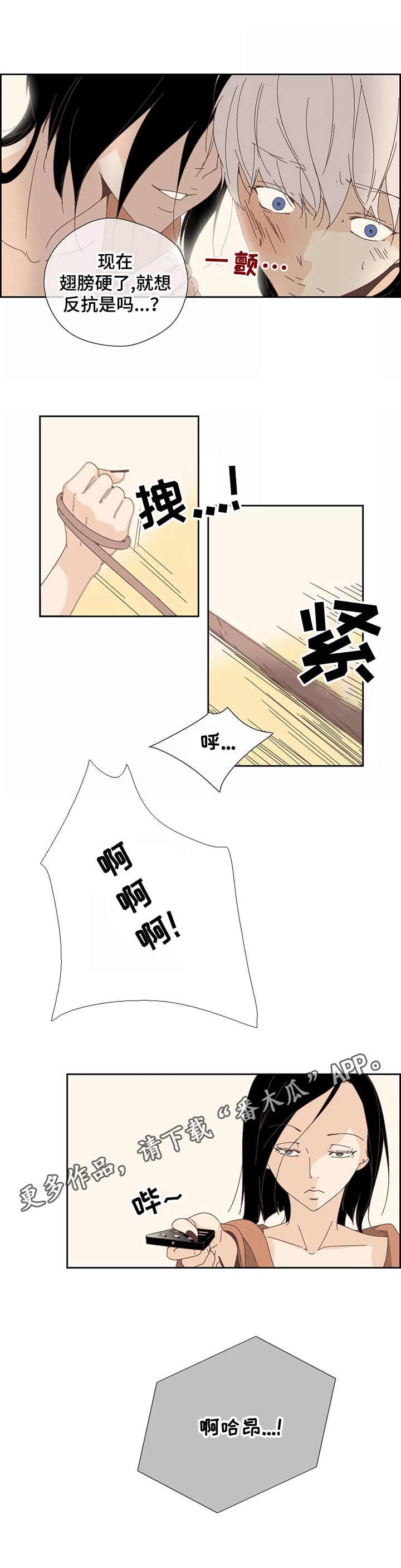 第20章：处罚