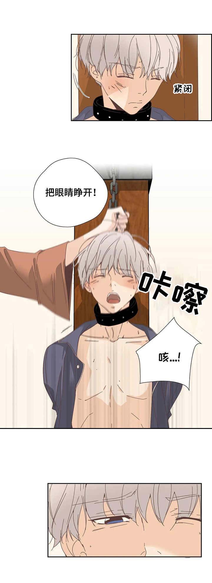第20章：处罚