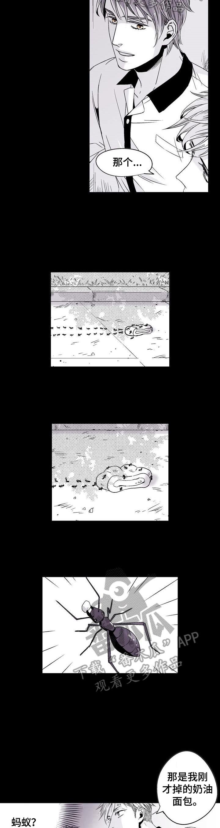 第21章：小小的满足