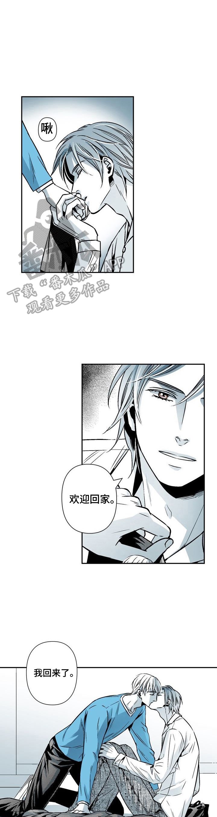 第24章：期待