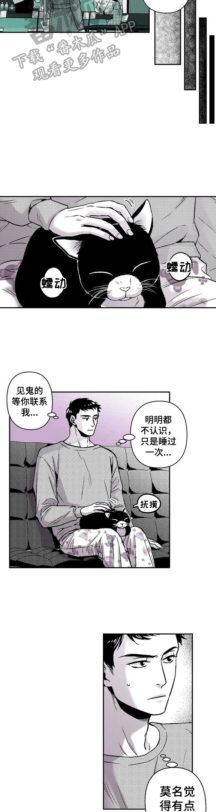 第31章：撸猫