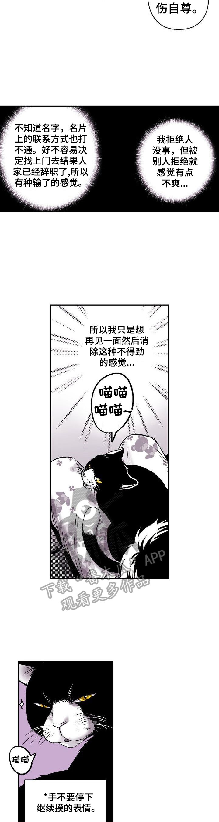 第31章：撸猫