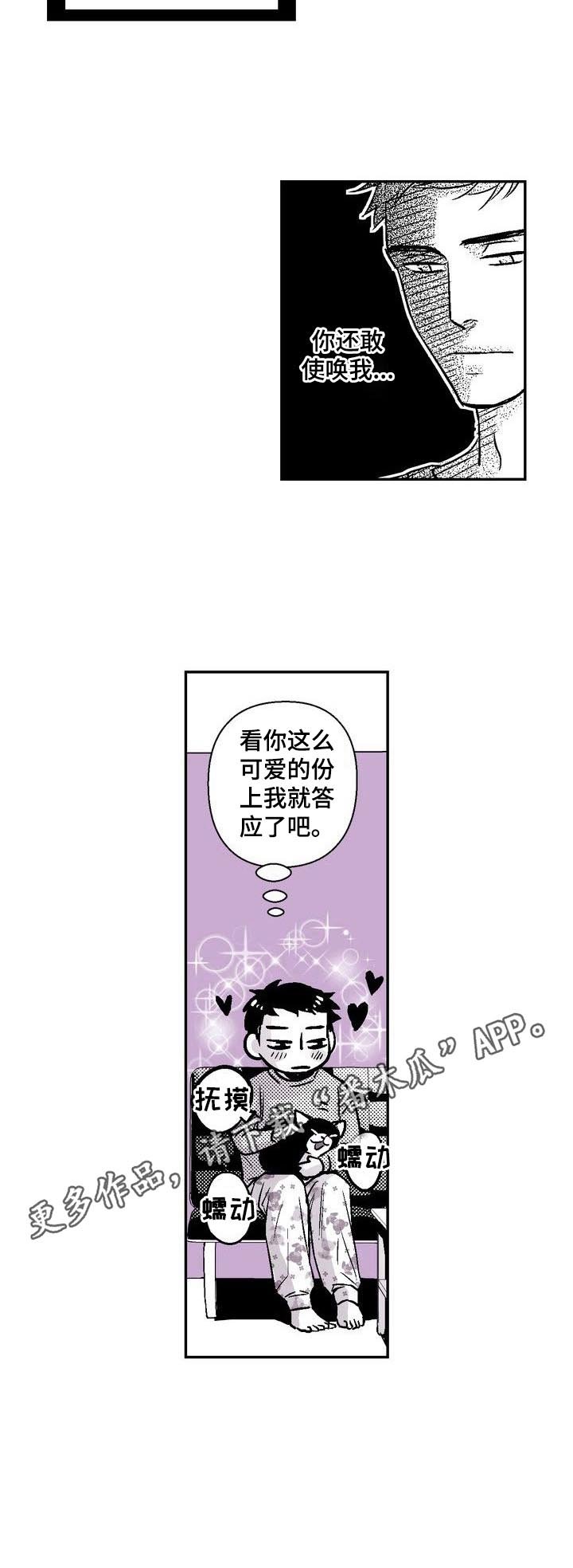 第31章：撸猫