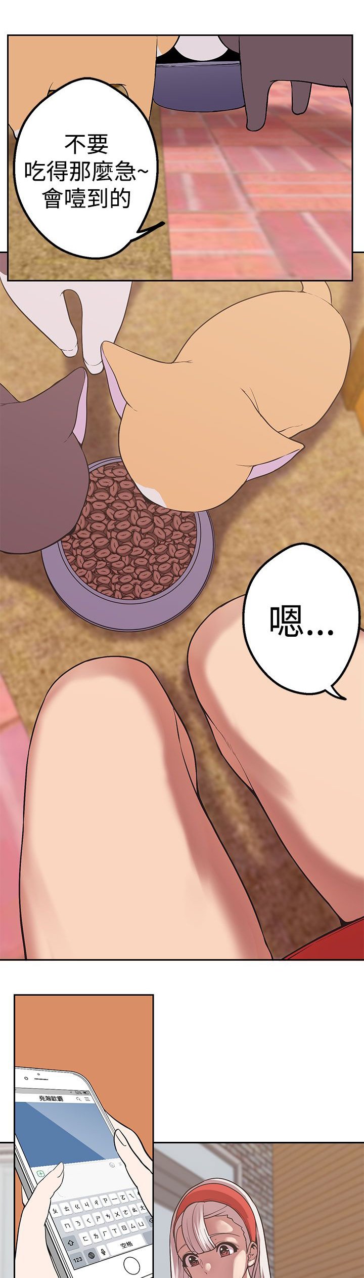 第32章：兔