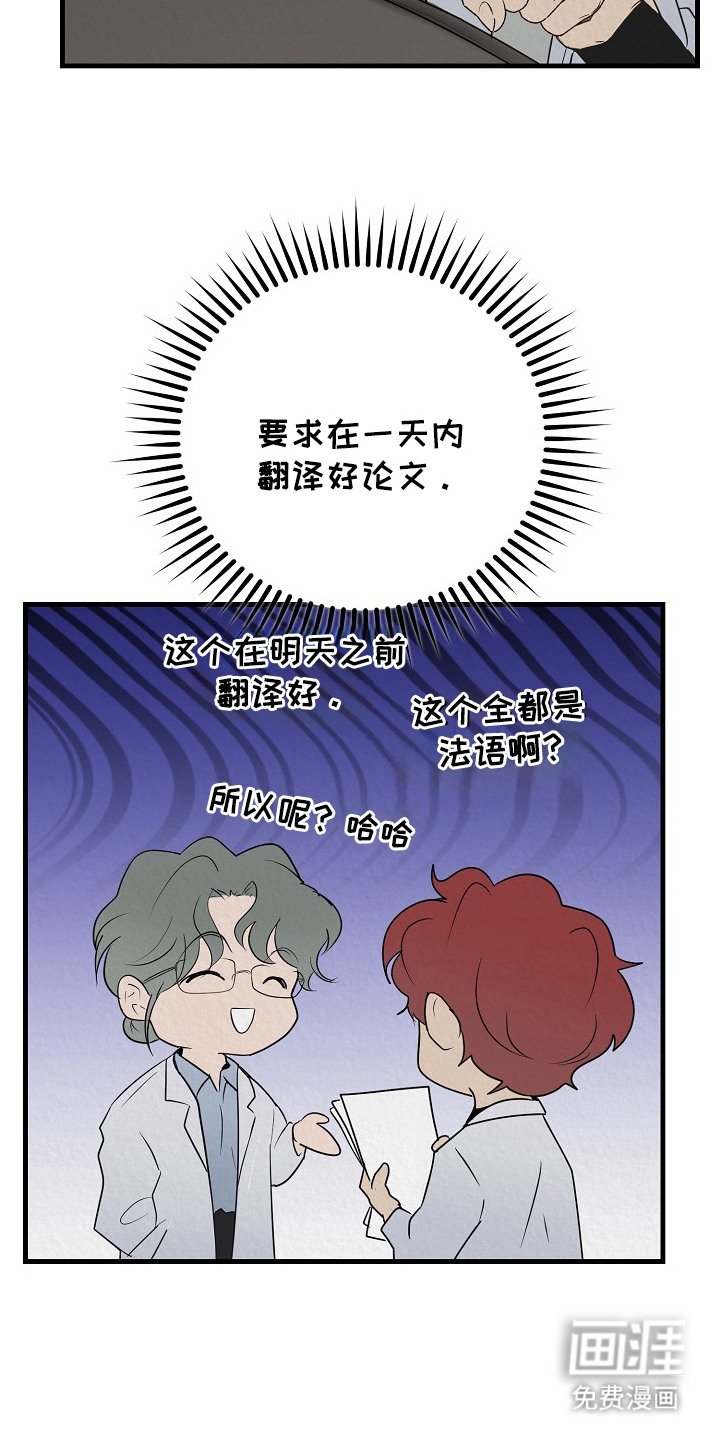 第2章：弱点