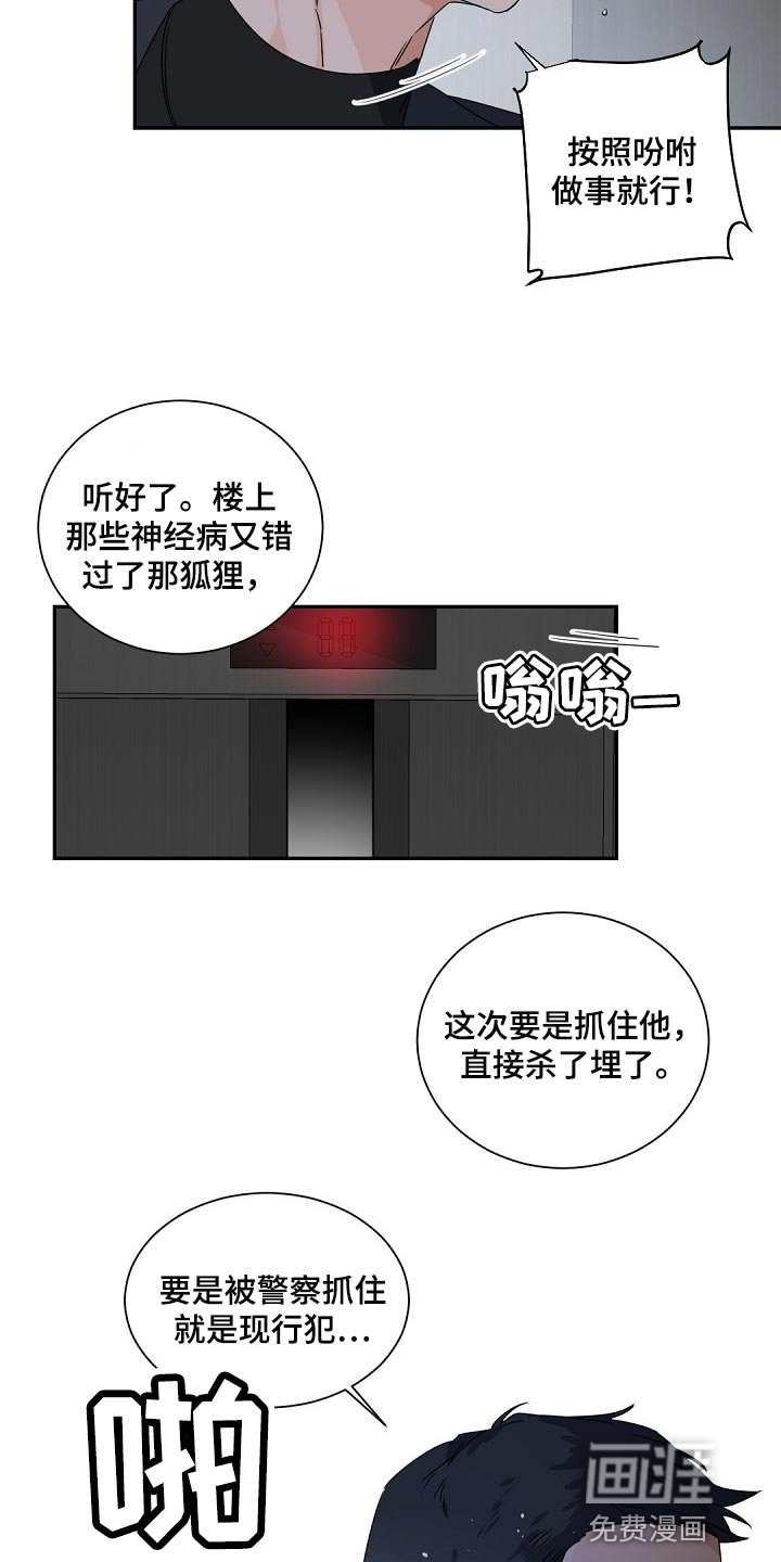 第110章：【第二季】那只狐狸在哪？