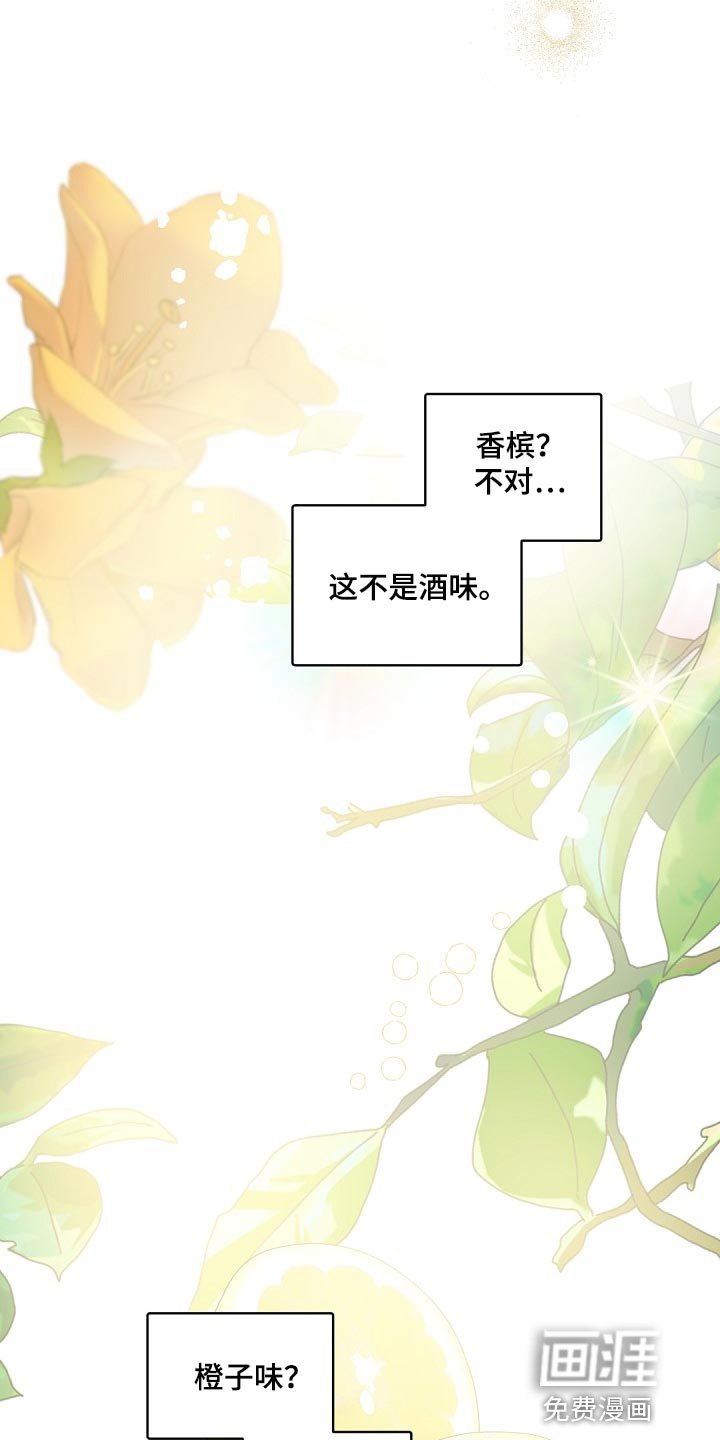 第117章：【番外】宠物而已
