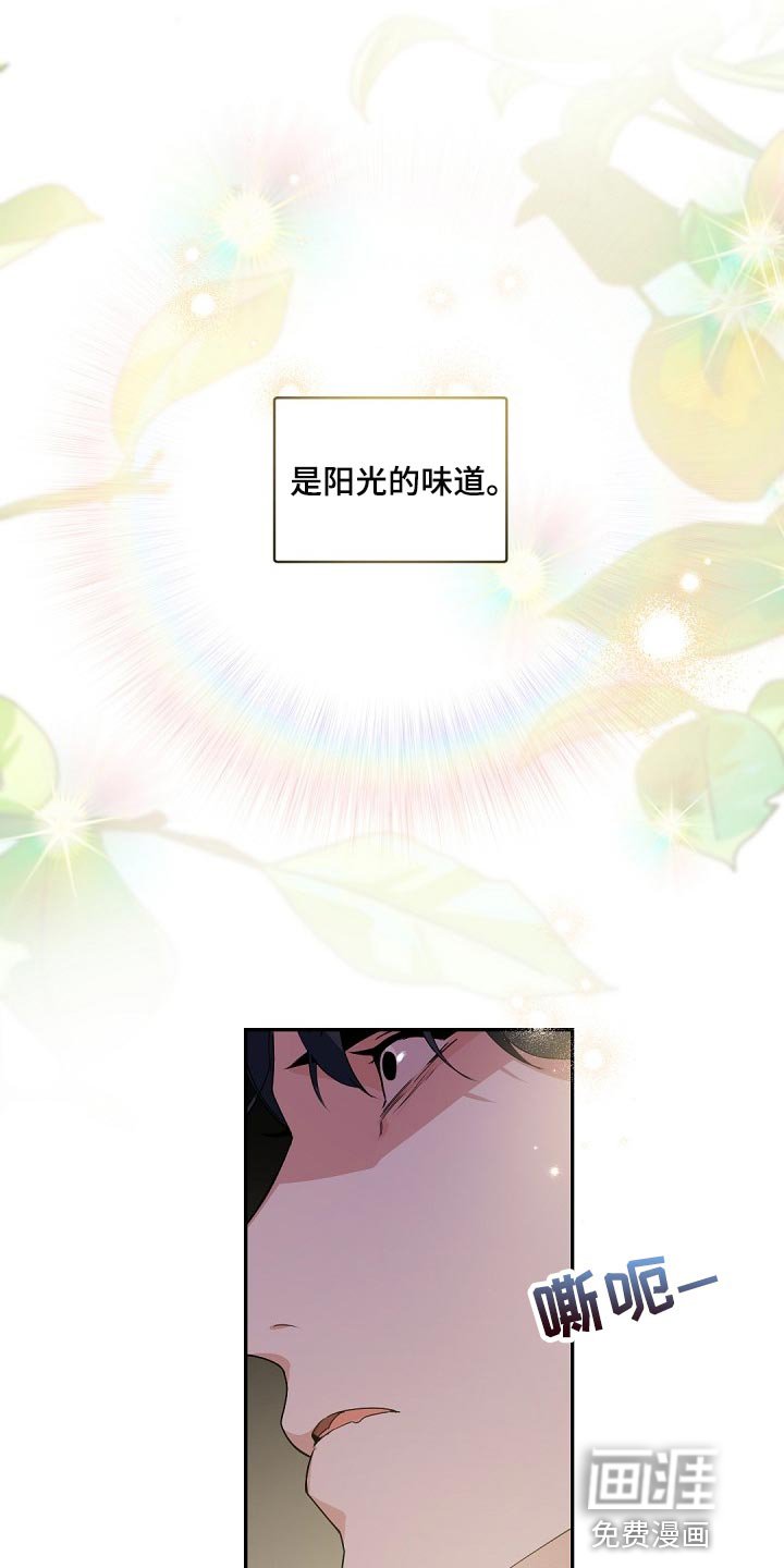 第117章：【番外】宠物而已