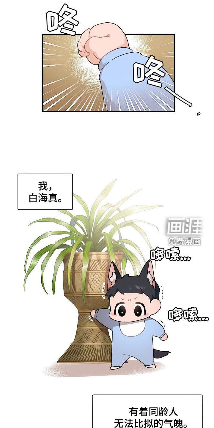 第141章：【番外】好爸爸