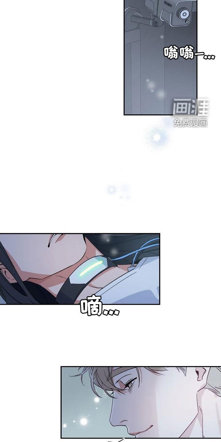 第146章：【番外】引导