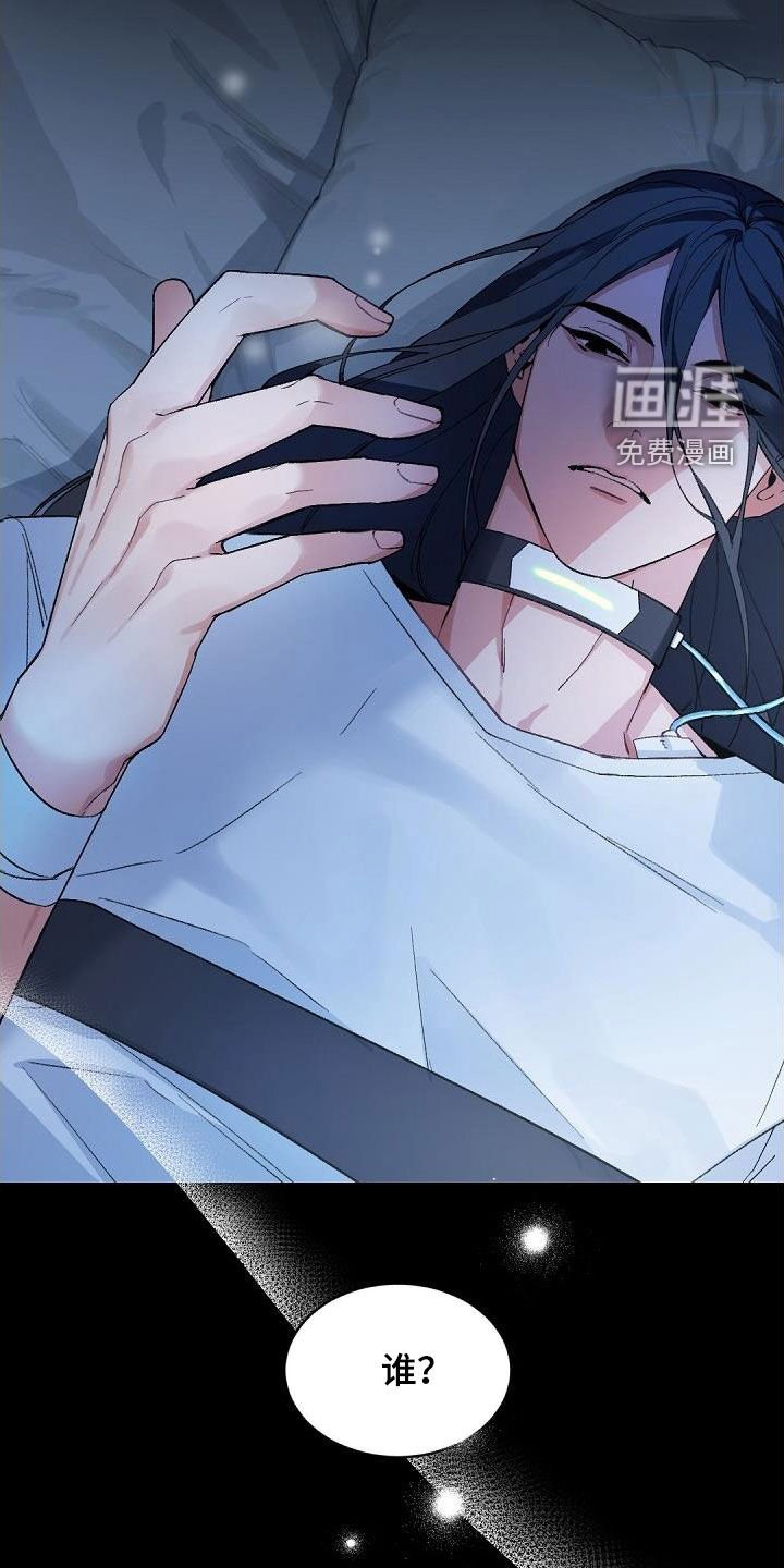 第146章：【番外】引导
