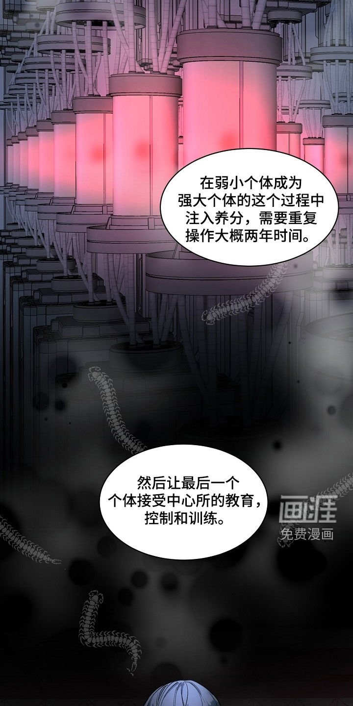 第157章：【番外】疯狂的实验