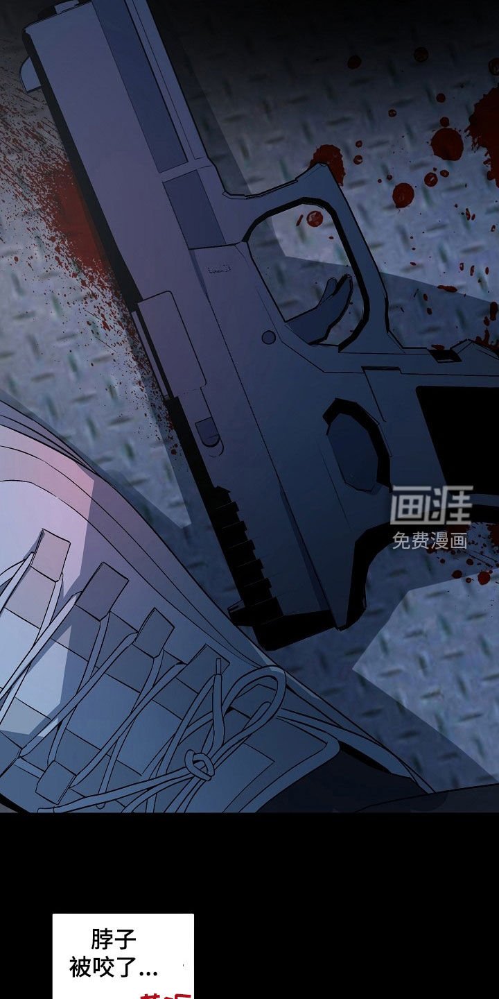 第161章：【番外】坟墓