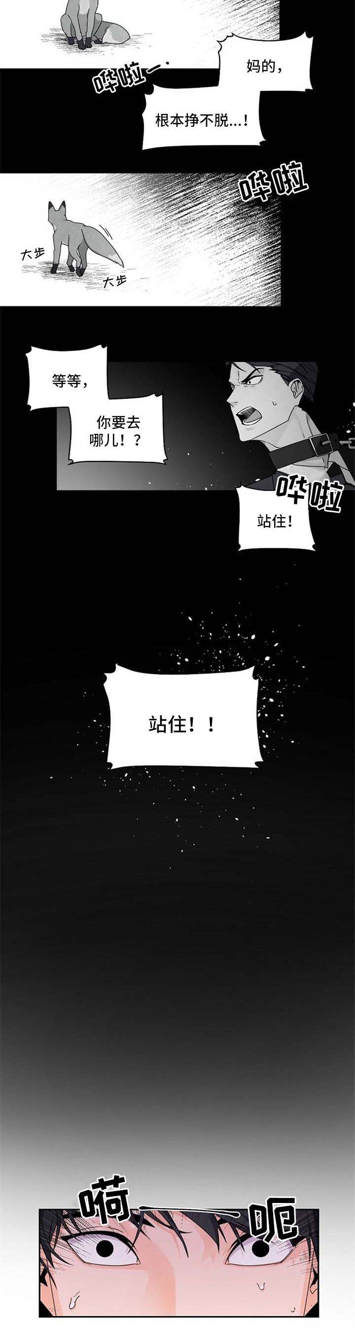 第37章：不对劲