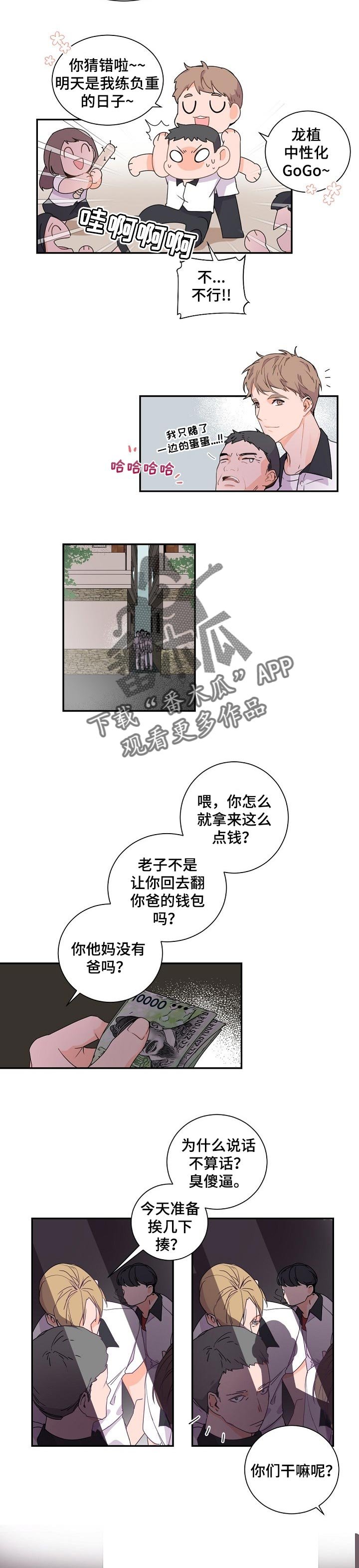 第45章：分离