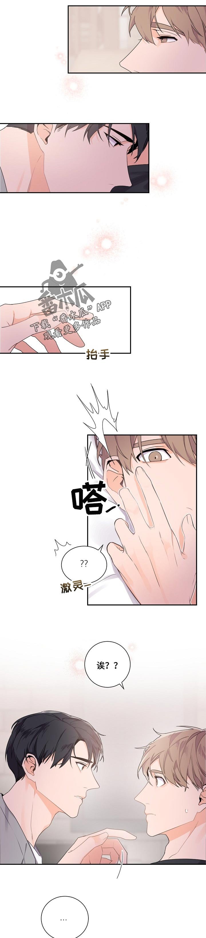 第48章：温柔完美的人