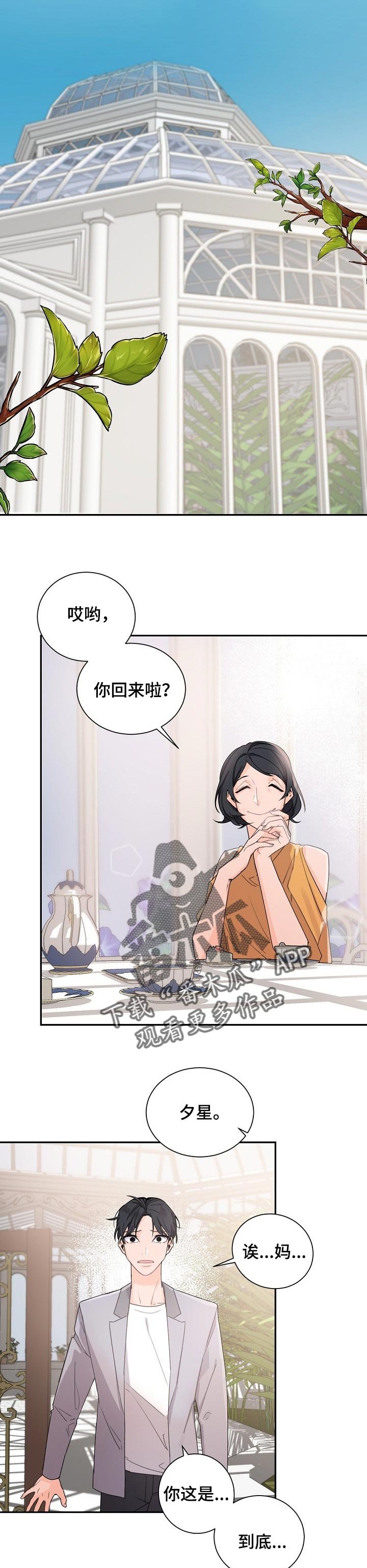 第55章：野心