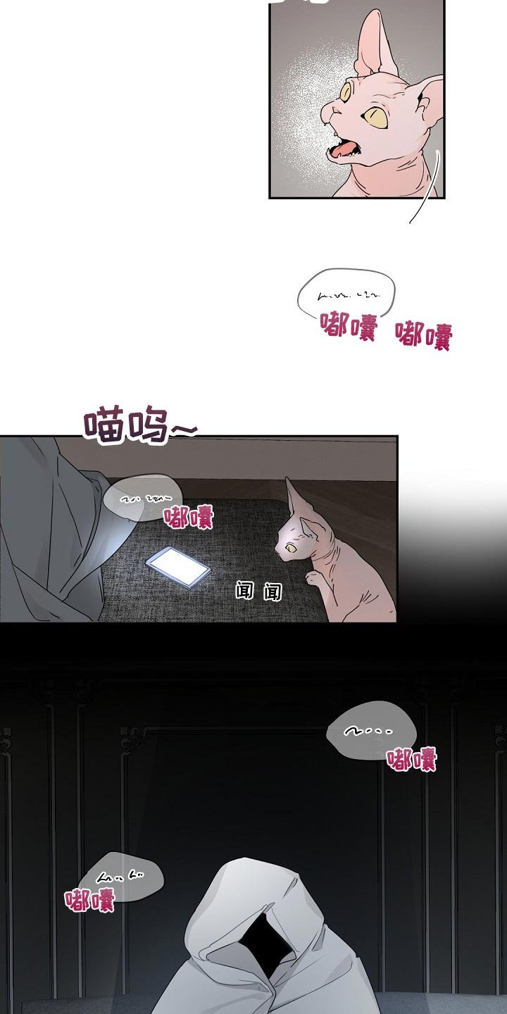 第64章：明明是我的