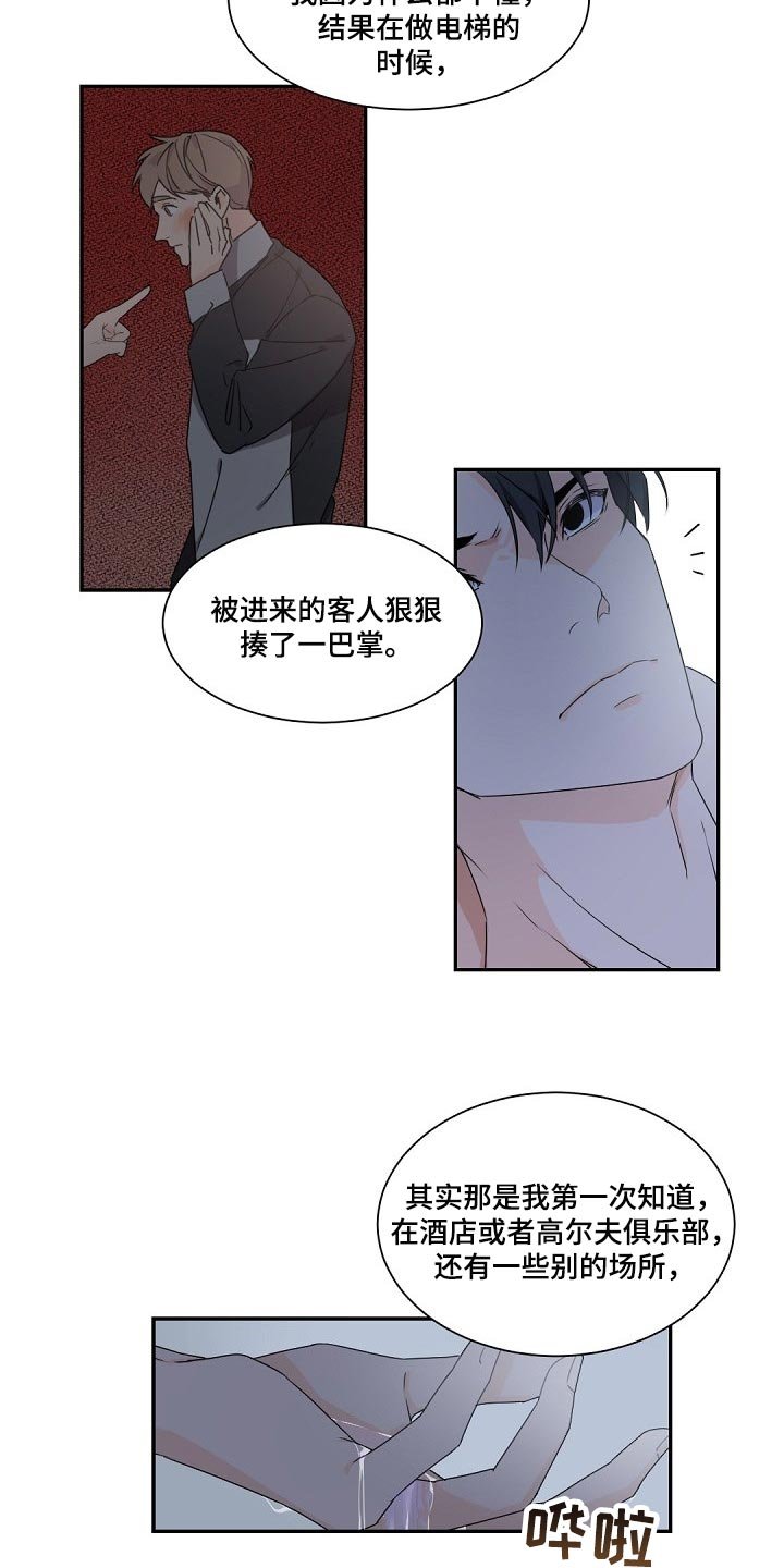 第66章：马蹄莲