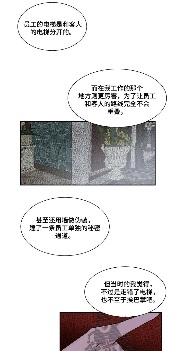 第66章：马蹄莲