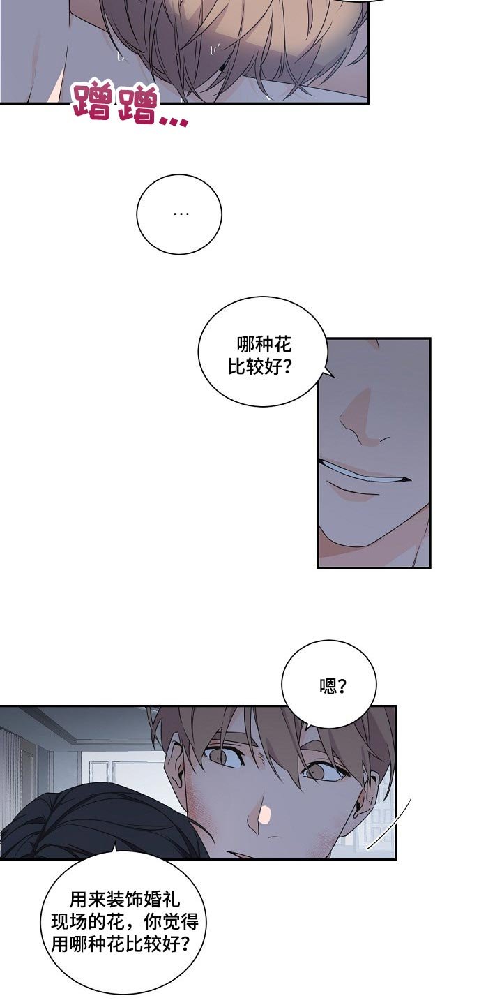 第66章：马蹄莲