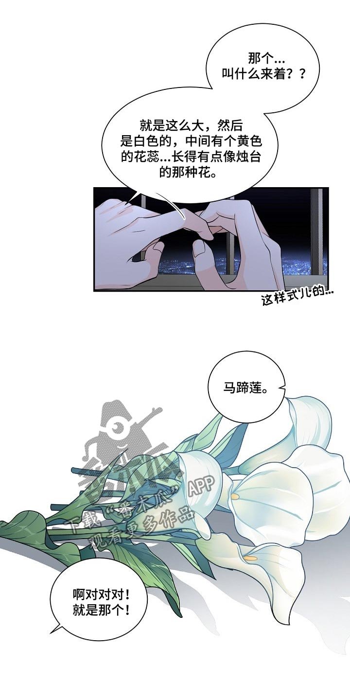 第66章：马蹄莲
