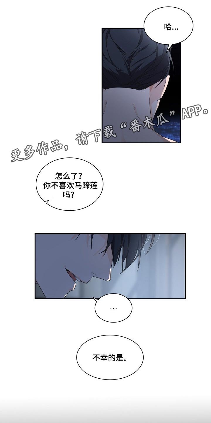 第66章：马蹄莲