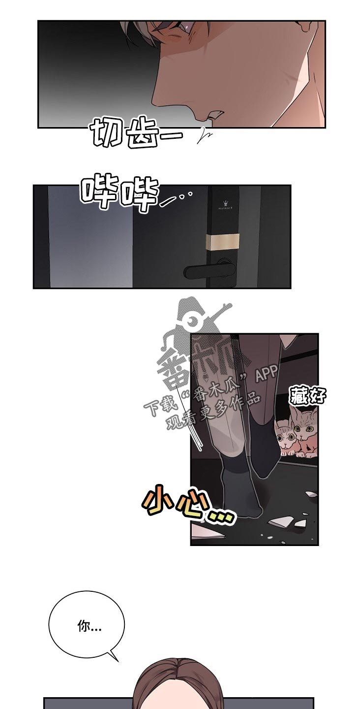 第69章：是我的错