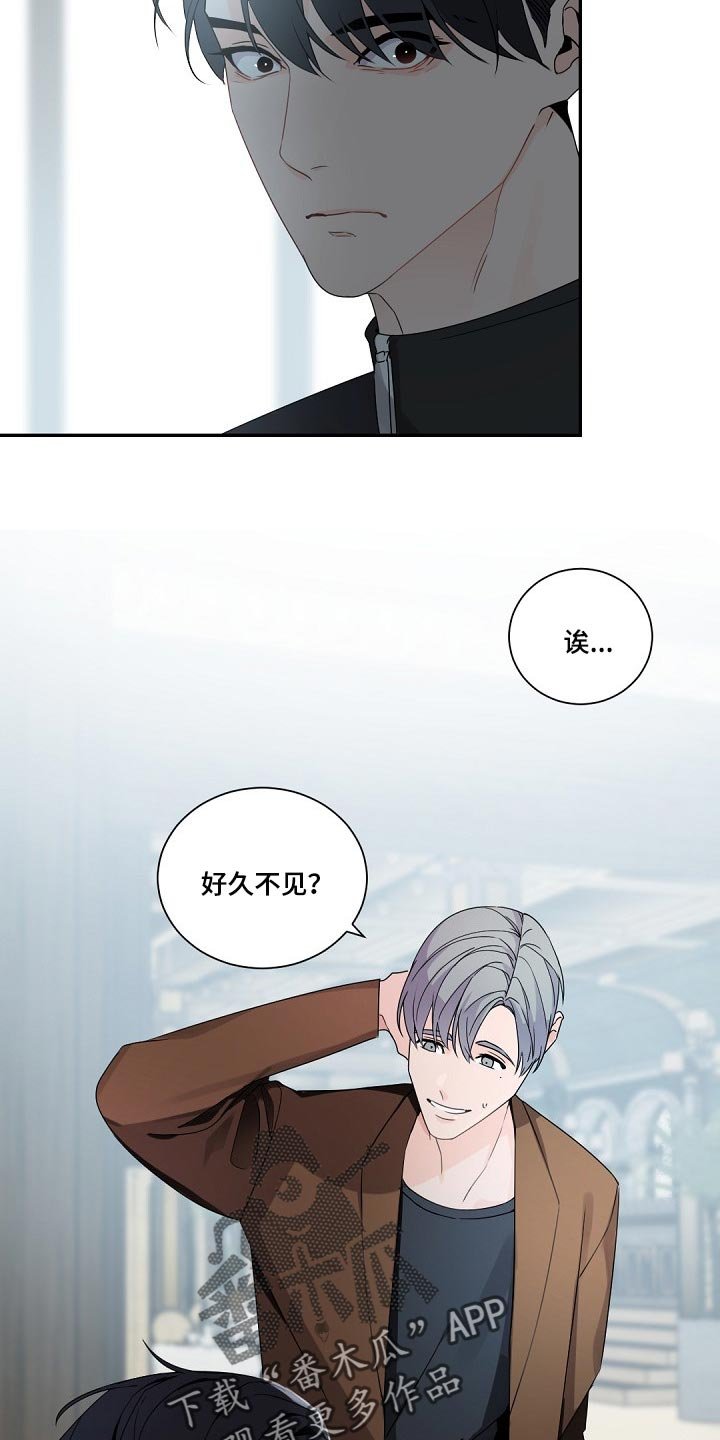 第74章：鹅卵石