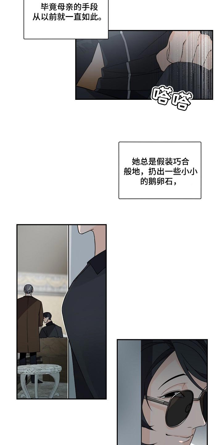第74章：鹅卵石