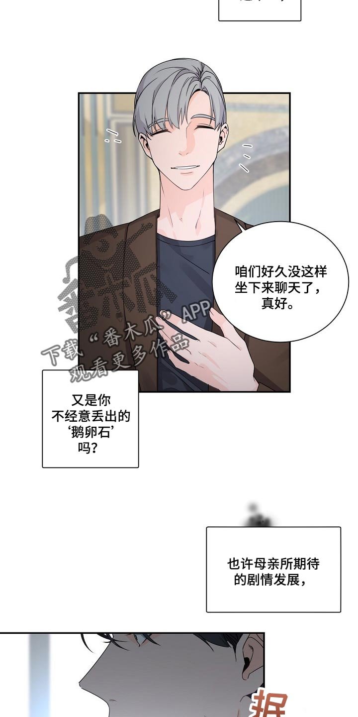 第74章：鹅卵石