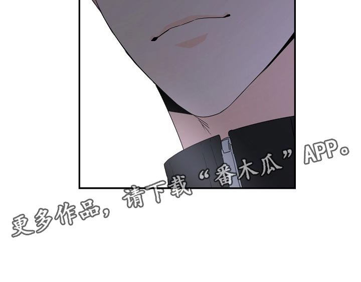 第74章：鹅卵石
