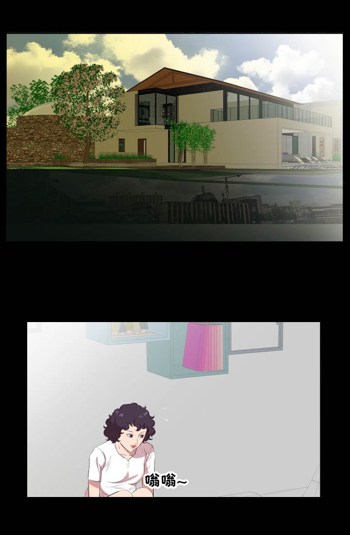 第46章：替代