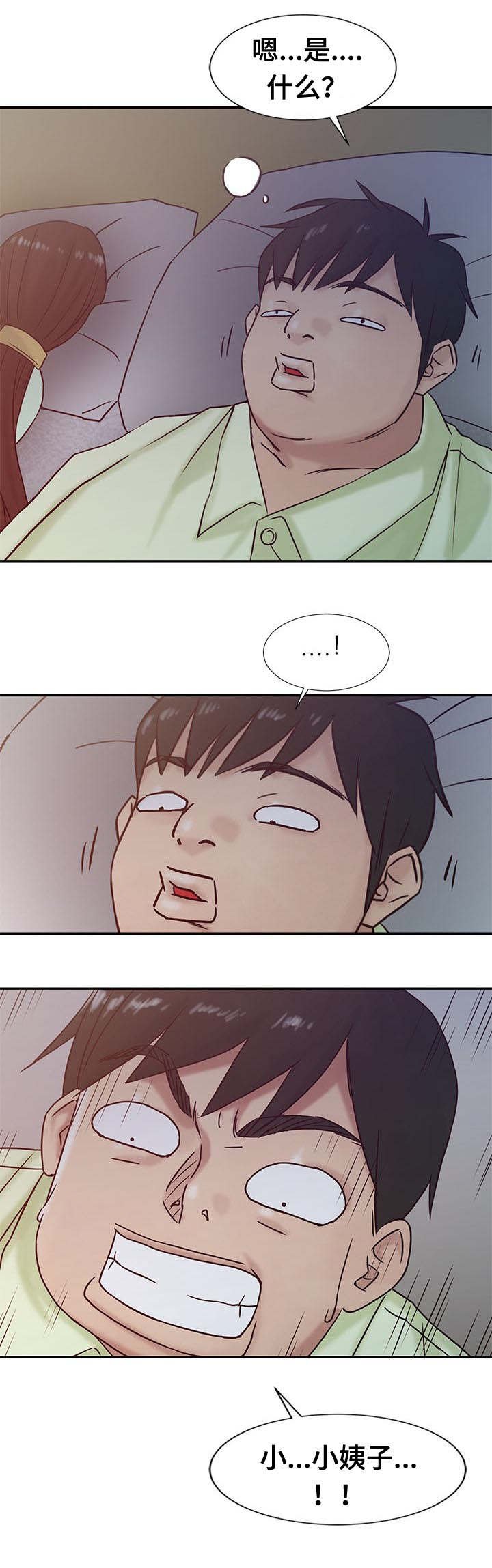 第20章：异议