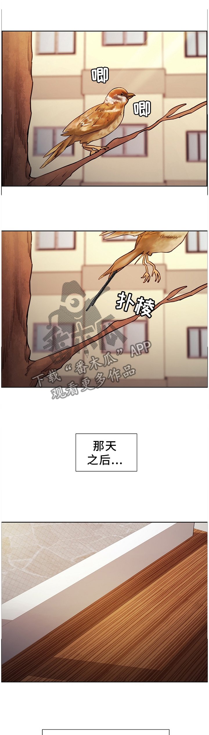 第51章：终归平静