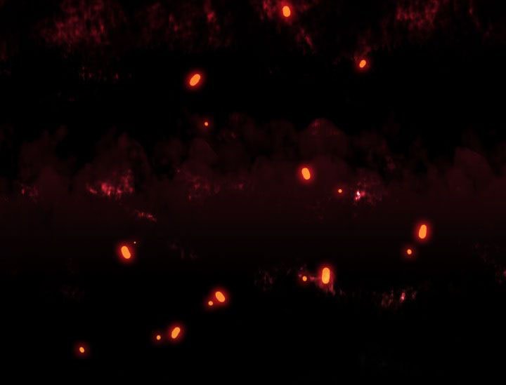第17章：进入