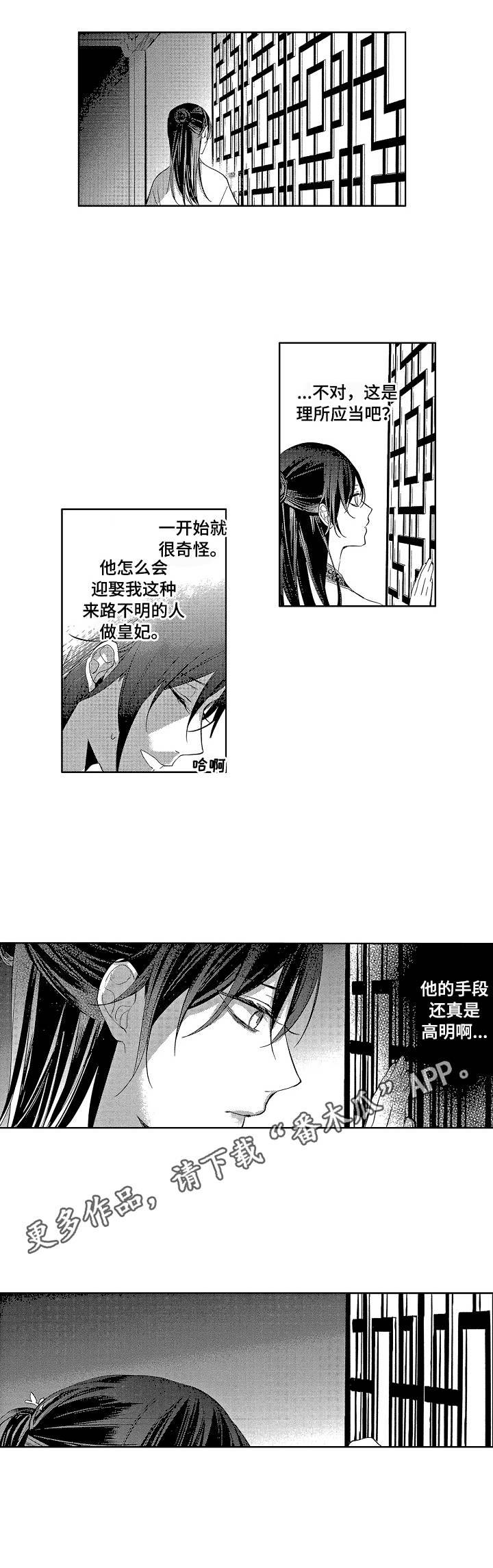 第15章： 失落