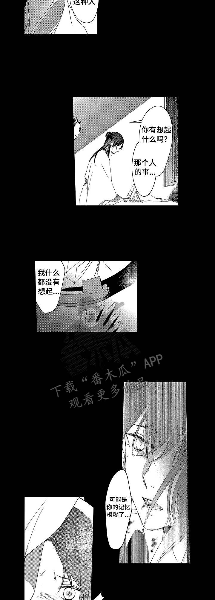 第18章：诱饵