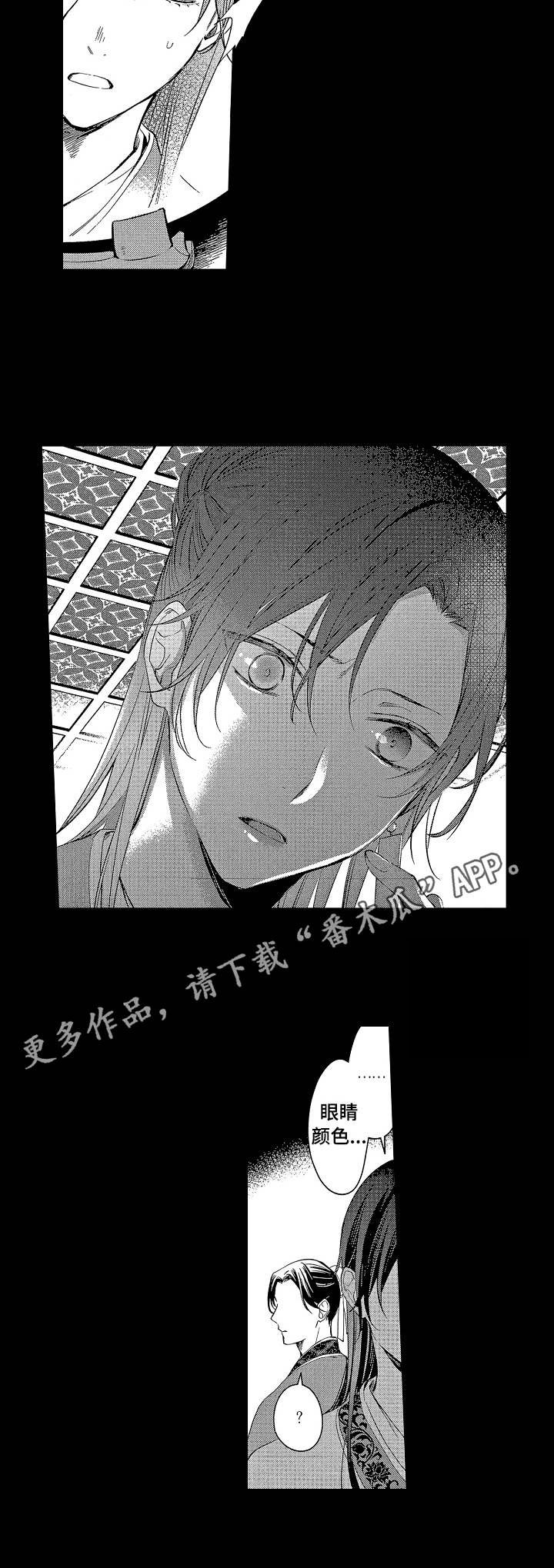 第18章：诱饵