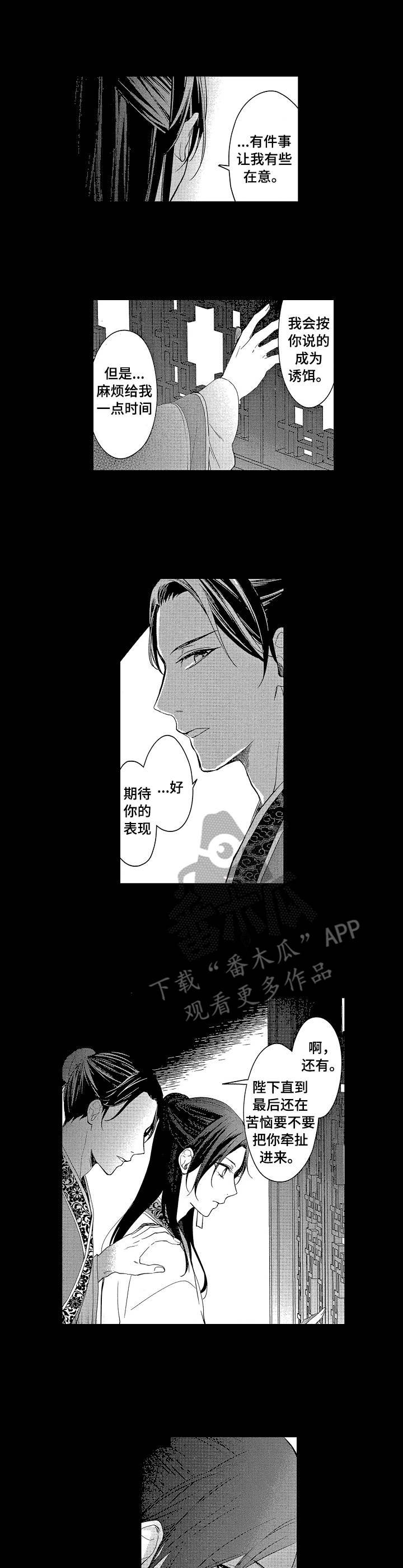 第18章：诱饵
