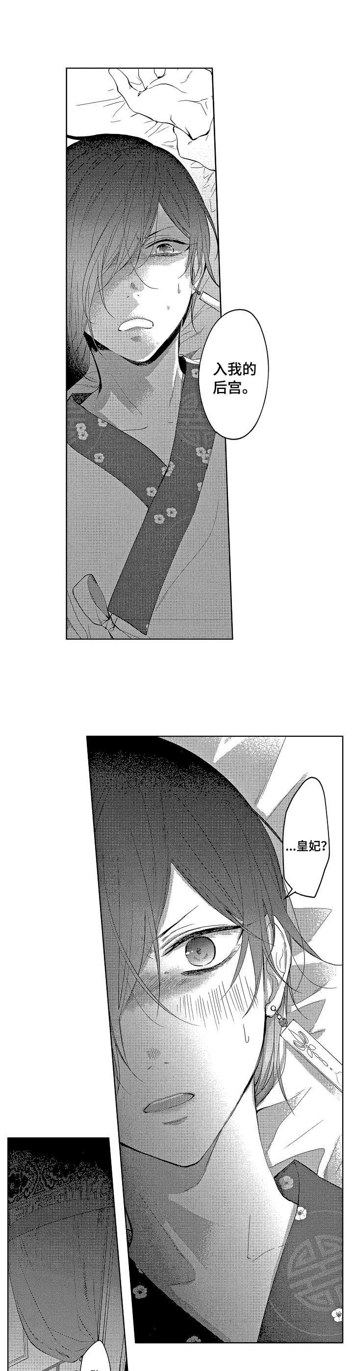 第6章：皇妃