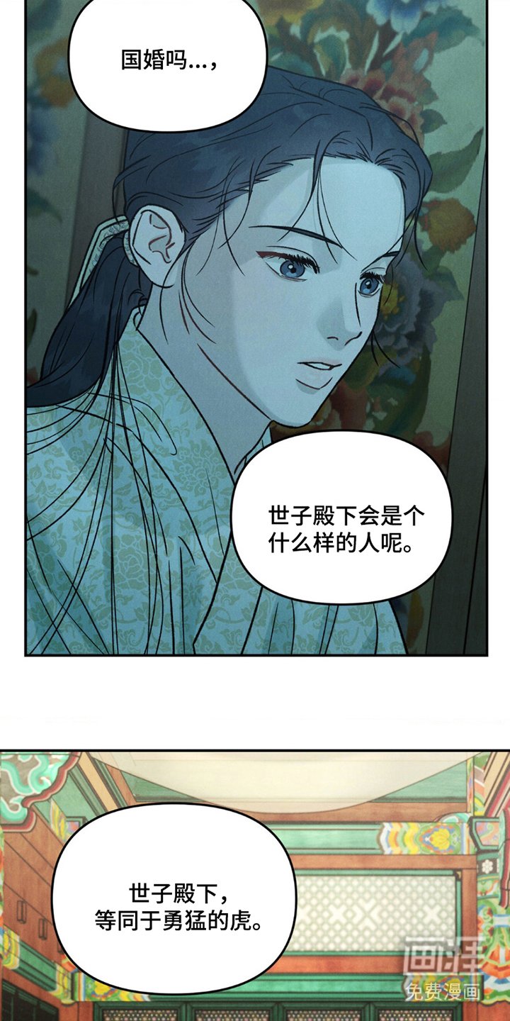 第3章：勇猛的虎