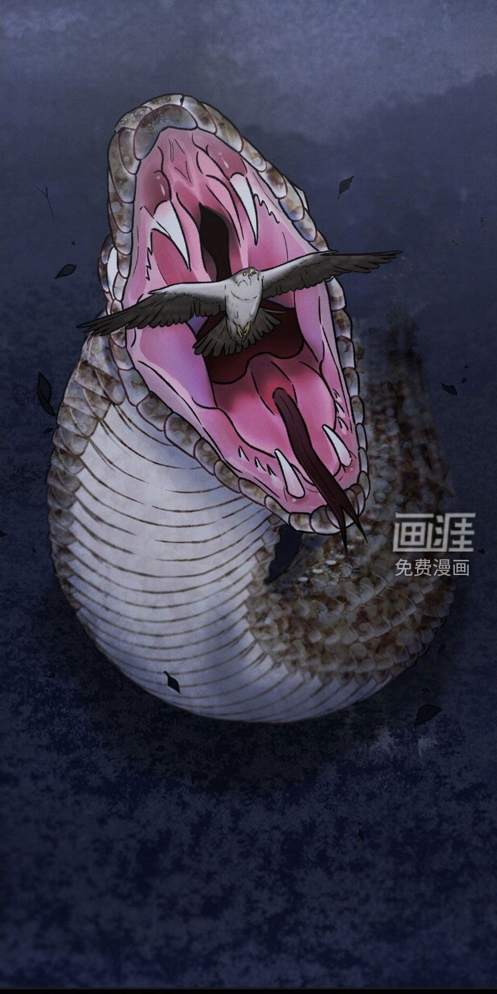 第43章：禁足