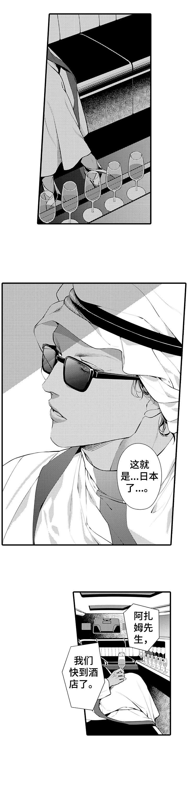 第1章：继承人