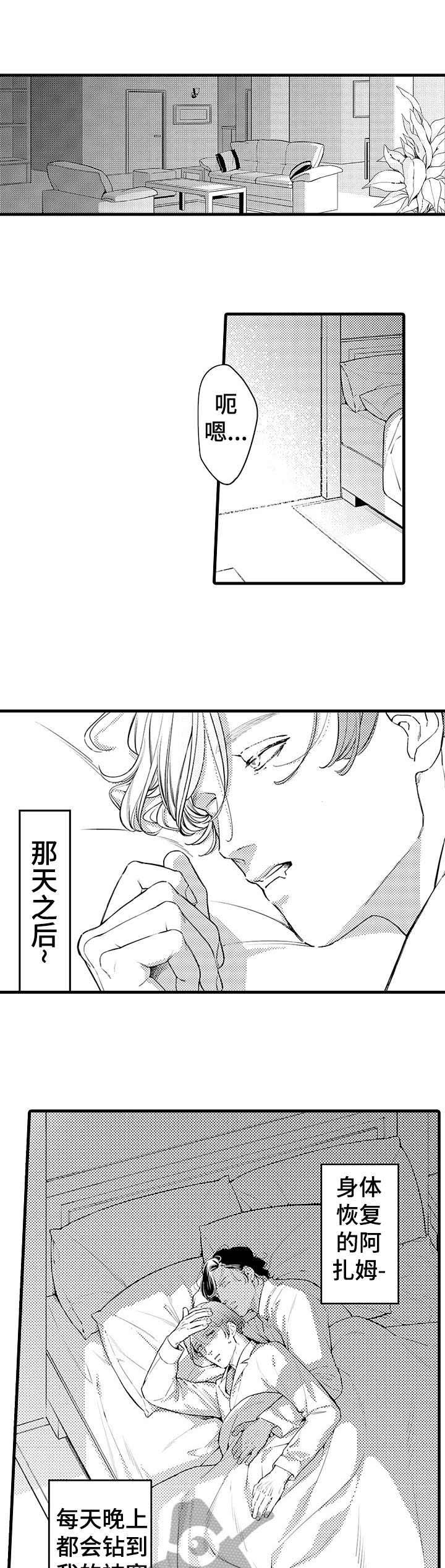 第12章：耀眼