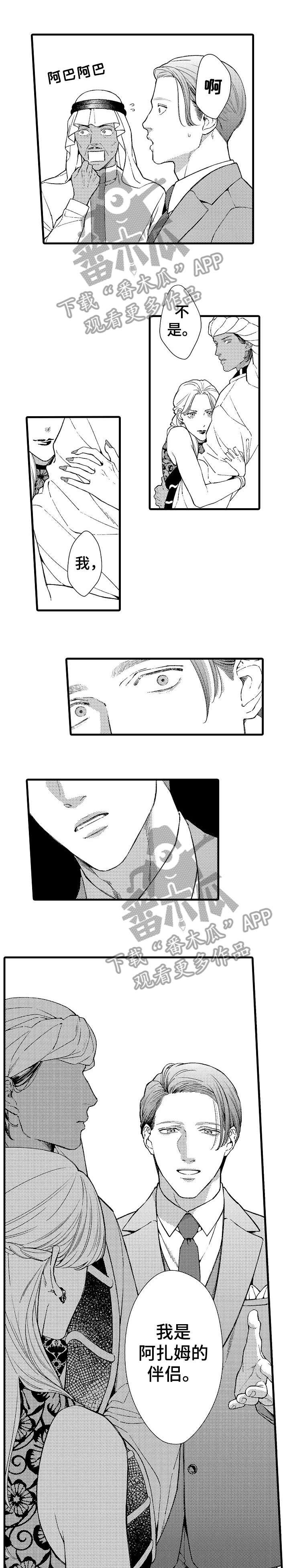 第14章：伴侣