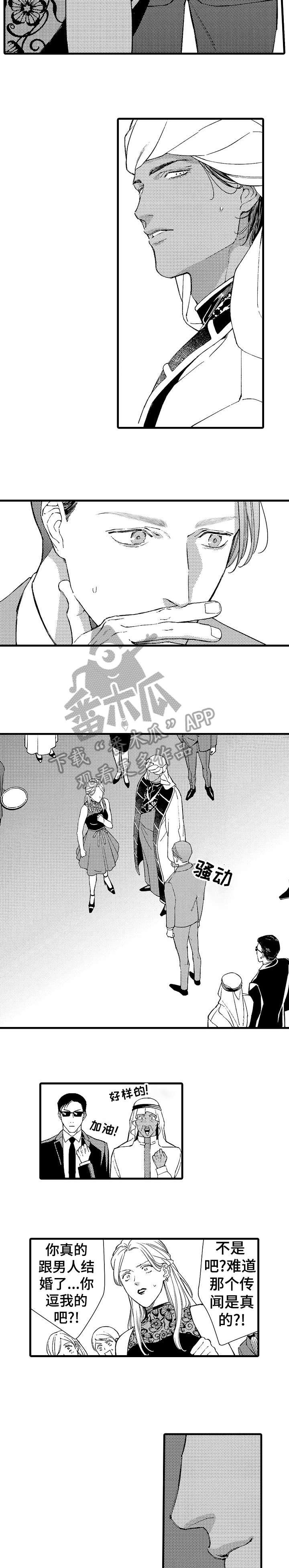 第14章：伴侣