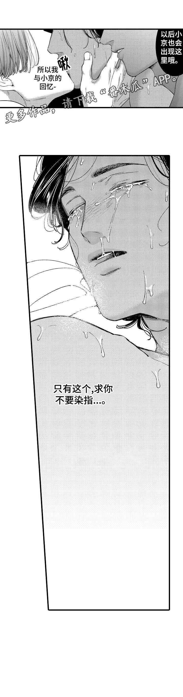 第23章：迪拜