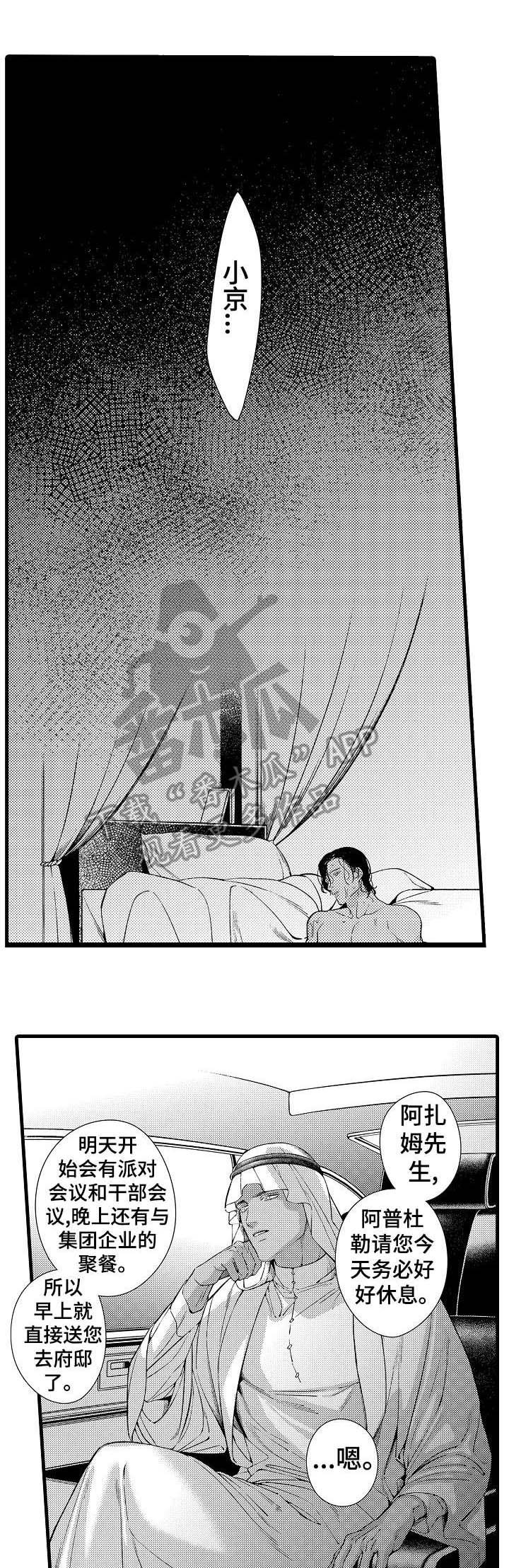 第23章：迪拜