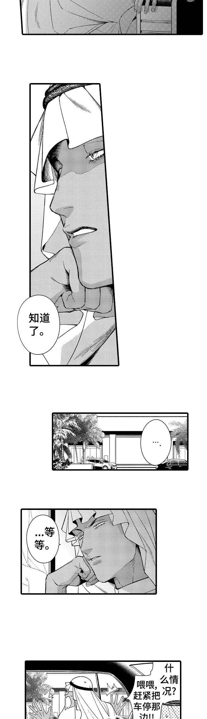 第23章：迪拜